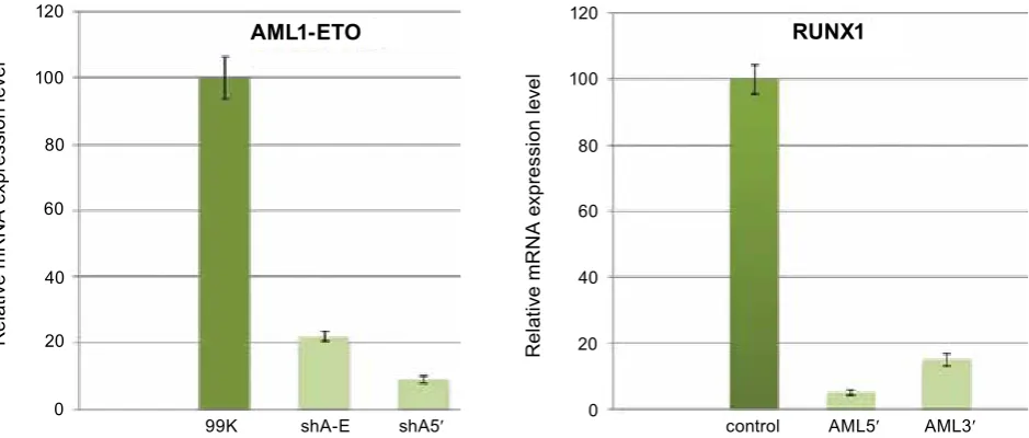 Fig. 7. The real Time rT-PCr products of total cDNa obtained from rUNX1(k83N) and aML1-eTO onco-