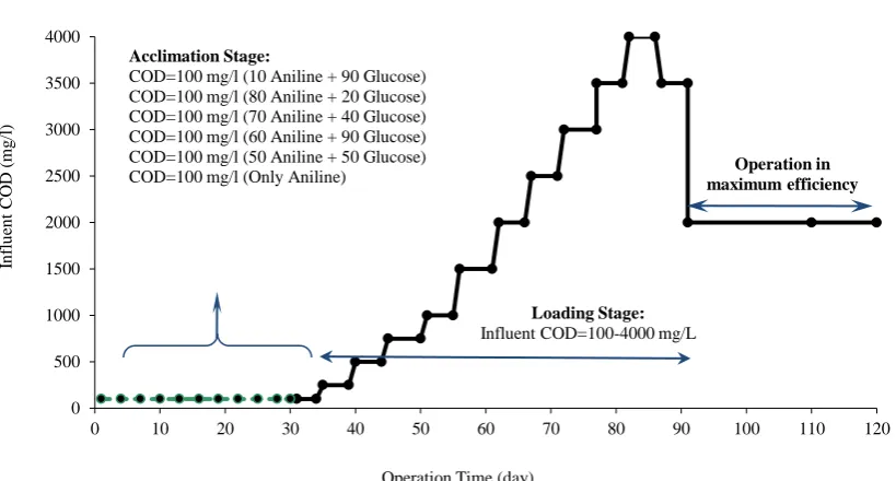 Fig. 2- Duration of reactor operation in acclimation and loading stage 