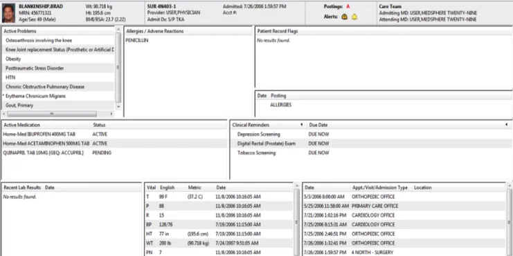Figure 1: Sample OpenVista Patient Summary Screen 