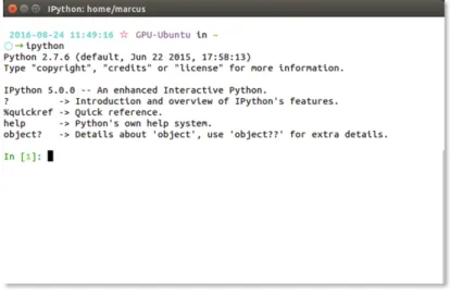 Fig. 1. The IPython Shell.