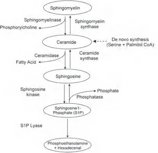 Fig. 1. Structure of Sphingosine-1-phosphate