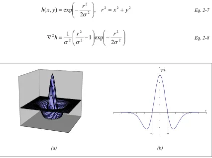 Figure 2-3 – (a) A plot of the Laplacian of the Gaussian (∇2h); (b) a cross-section of ∇2h