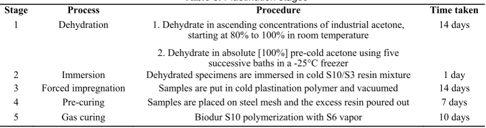 Table 2. The process of standard dehydration in cold acetone and stepwise dehydration at room temperature
