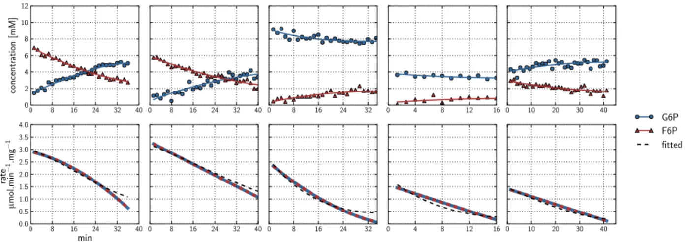 Figure 5. Spline fits of Phosphoglucose Isomerase data. Top row: Time courses of the PGI reaction were acquired by incubating a cell extract with various starting concentrations of substrate G6P (  ) and product F6P ( N ) and monitoring reaction progress 