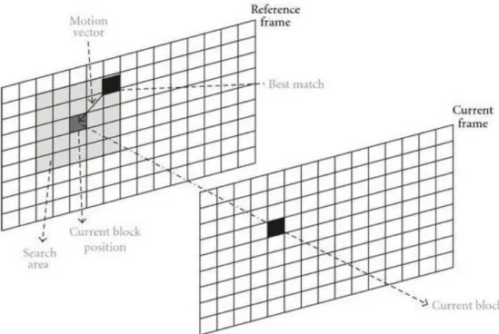 Figure 2.1 Integer Motion Estimation 