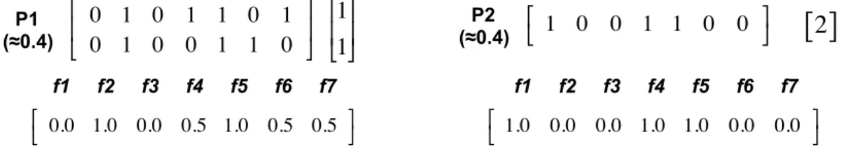 Figure 3.6: Patterns generated from BMF