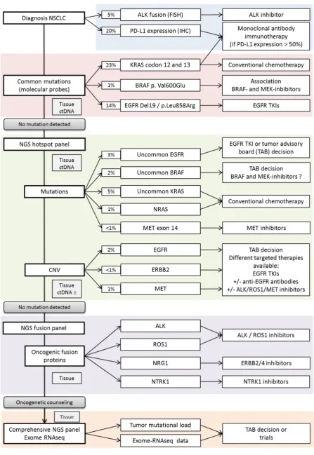 Figure 3: Lung cancer testing algorithm, an example in clinics 