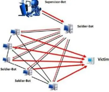 Figure 1.  Structure of the Botnet 