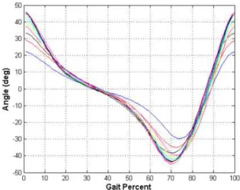 Figure 2.9: Tibia Angle Profile vs Human Gait. Each curve represents a different stride length [22]