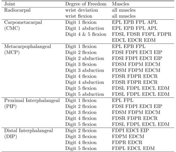 Table 2. The degrees of freedom in the model, and the muscles that cross each one.