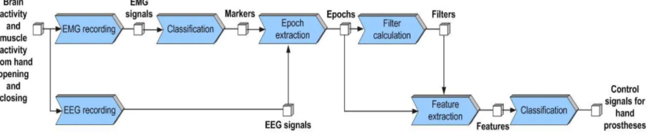 Fig. 1. A novel EMG-assisted approach has been developed for classification of EEG data from hand grasp and release movements