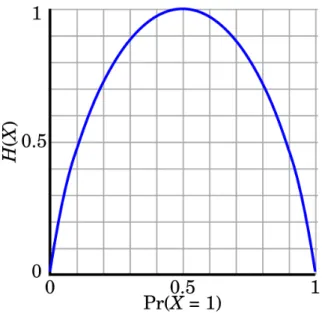 Figure 2.10: Entropy function 10 .