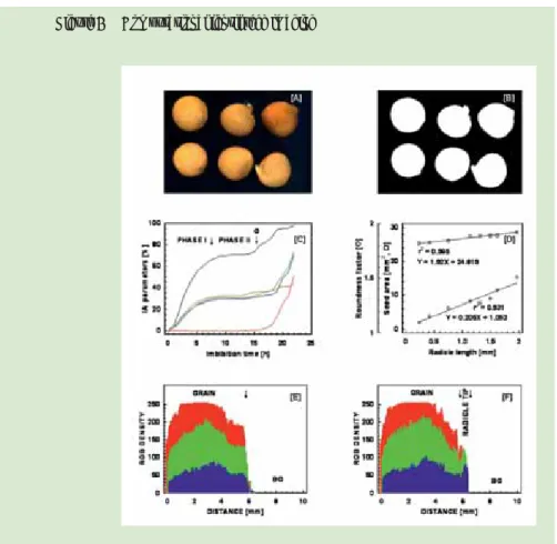 Figure 1 Computational lentil seed imaging