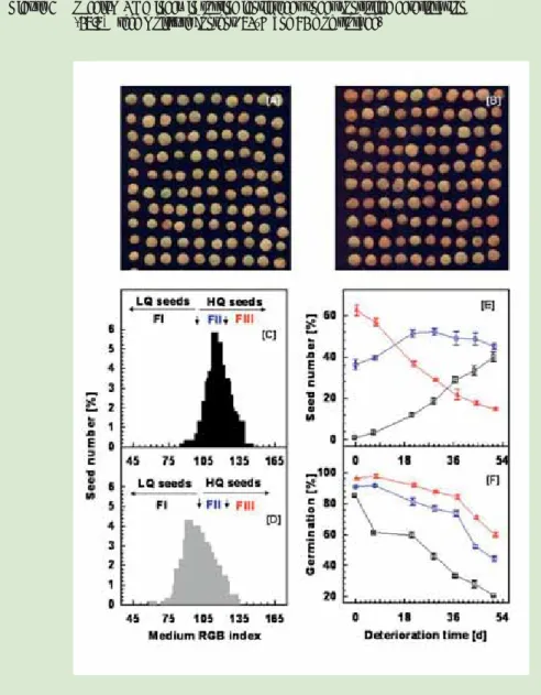 Figure 2 Medium RGB index in sorting lentil seeds under controlled deterioration  (14.4 % seed moisture content, 40° C and 51 d of storage)