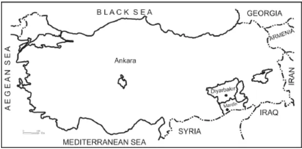 Fig. 1. Study areas, Bismil plain (Diyarbakır) and Kızıltepe Plain (Mardin) in South-Eastern Turkey.