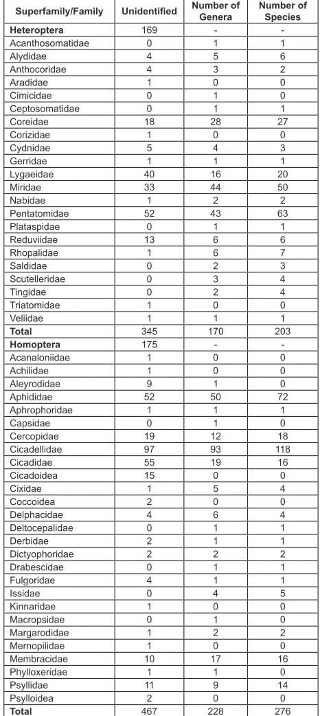 Table 1.Hemiptera (Heteroptera and Homoptera) in the Asilidae Predator - Prey Database (Lavigne, 2003).