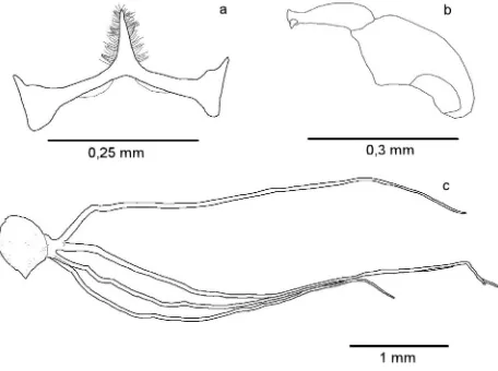 Fig. 1. Simulium petricolum; a) ventral plate, b) style, c) gill filament.