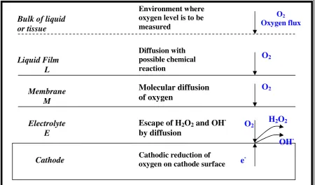 Figure 2.7: Diffusion Path of the Oxygen Molecule 