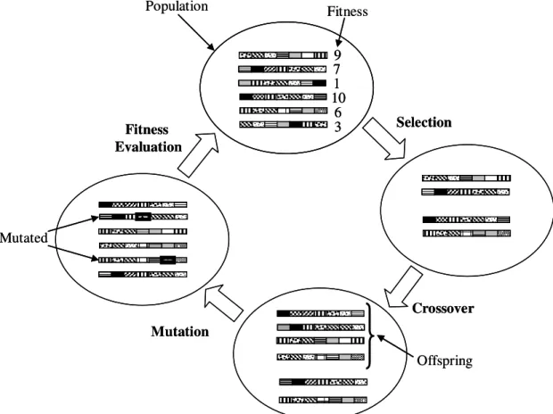 Figure 2.2 Main procedure of an evolutionary algorithm for single generation. 