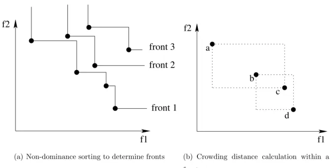 Figure 1: NSGA-II first ranks individuals according to non-dominance sorting (a) and within a front according to crowding distance (b).