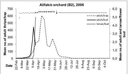 Fig. 4. Population fluctuation of thrips adults and larvae in flower buds and adults on sticky traps in Koy-uncu orchard (B4) in 2005