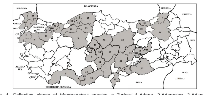 Fig. 1. Collecting places of Macrocentrus species in Turkey: 1-Adana, 2-Adapazarı, 3-Adıyaman, 4-Aksaray, 5-Ankara, 6-Antalya, 7-Artvin, 8-Balıkesir, 9-Bartın, 10-Bolu, 11-Bursa, 12-Çanakkale, 13-Çankırı, 14-Edirne, 15-Elazığ, 16-Erzurum, 17-Gaziantep, 18-Gümüşhane, 19-Hatay, 20-İçel, 21-İzmit, 22-Kahramanmaraş, 23-Karabük, 24-Karaman, 25-Kastamonu, 26-Kayseri, 27-Kırklareli, 28-Kırşehir, 29-Malatya, 30-Nevşehir, 31-Niğde, 32-Sivas, 33-Şanlıurfa, 34- Tekirdağ, 35-Trabzon, 36-Yozgat, 37-Yalova, 38-Zonguldak.