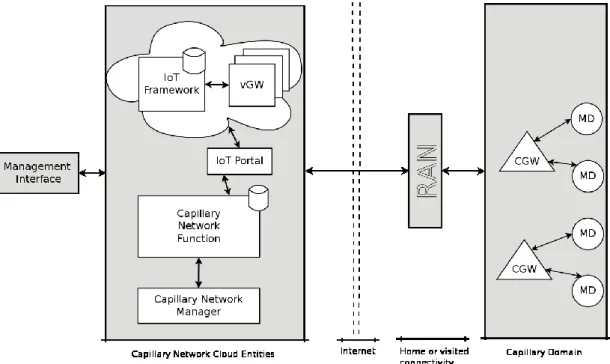Figure 2-10 Capillary Network Architecture Overview 