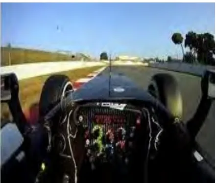 Figure 1.8 : Formula one driver sight 