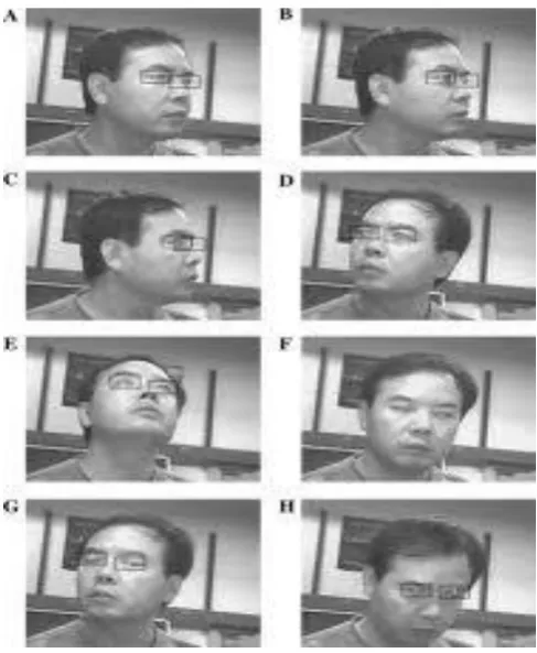Figure 2. Tracking eye in different angels in human face. 