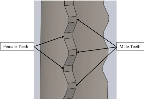 Figure 30. View of the three male teeth and two female teeth at the end of each printed part  Another major feature of the printed part prevents movement in the radial direction and holds the  segments together rigidly
