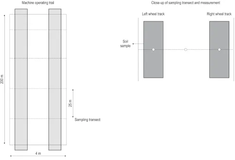 Fig. 2 Schematic of the treatment set-up with the location of sampling transects within the research area