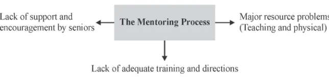 Figure 3.   Mentoring Issues 