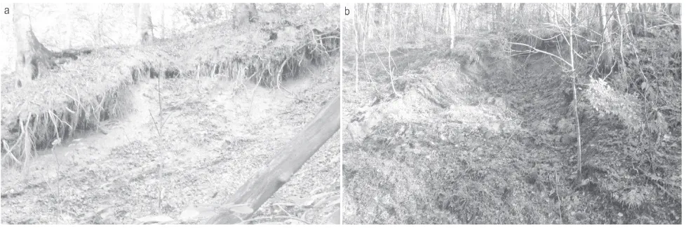 Fig. 2 A natural shallow landslide; lateral root reinforcement can be seen along the tension crack (a) and failure of forest road cut slope (b) in the study area