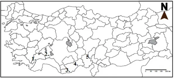 Fig. 1. The position of the studied areas in Turkey. 1. Gölhisar, 2. Isparta, 3. Gülnar, 4
