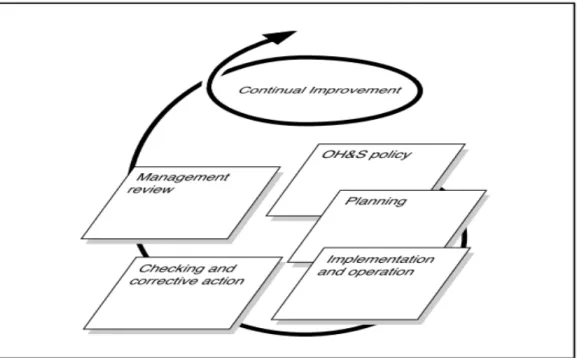 Figure 7: HSMS model for OHSAS 18001 (2007) standard (Source: Haas &amp; Yorio, 2016) 