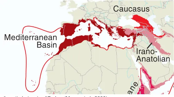 Fig. 2. Map of selected areas of East Mediterranean