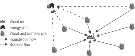 Fig. 1 Network structure for timber and biomass flow problem