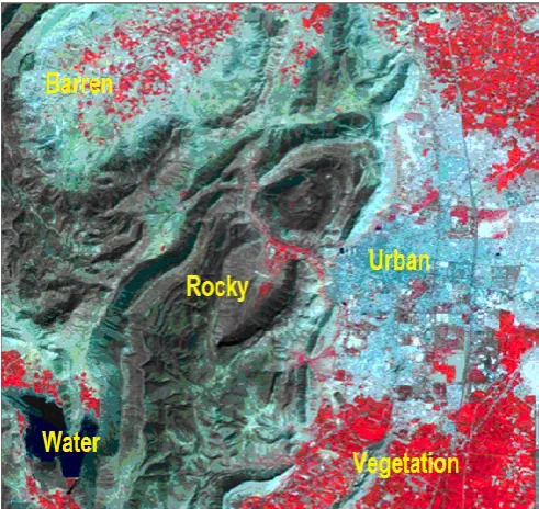 Figure 3. Input Image of Alwar region 