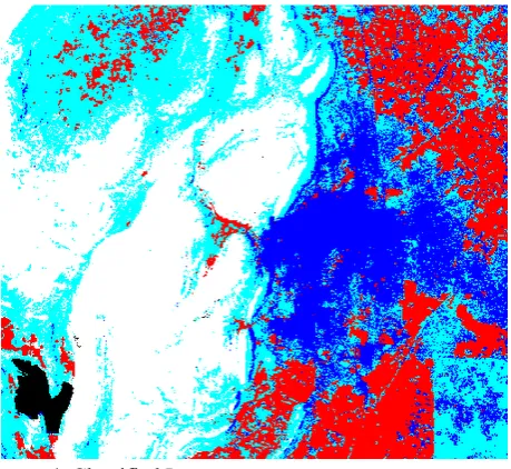 Figure 4. Classified Image 