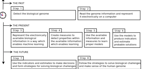Figure 1: An abstract 8-step methodology to make sense of the human genome.