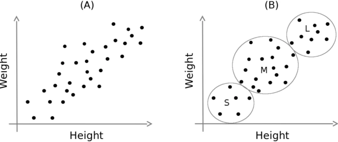 Figure 1.1: Segmentation of shirt-sizes for a soccer team. The dataset, illustration and the idea is partly taken from the machine learning course at Coursera.