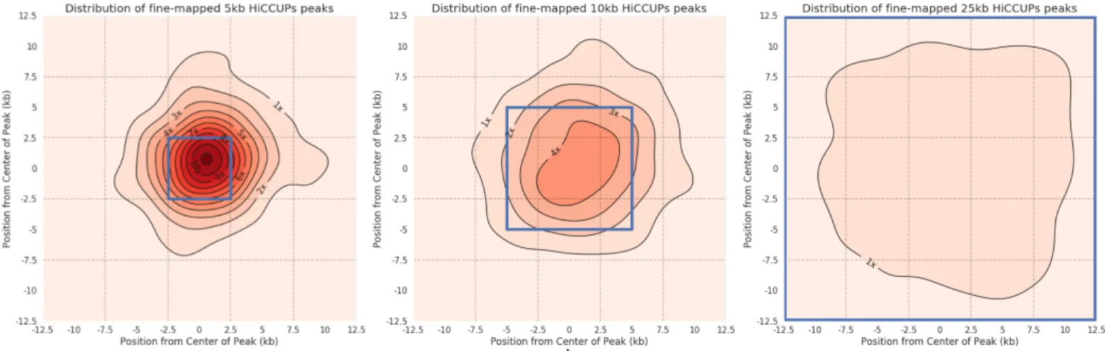 Figure 2.6.4 | Distribution of fine-mapping predictions for different size HiCCUPs peaks  Kernel  Density  Estimation  (KDE)  plots  showing  the  distribution  of  c-SCNN’s  fine-mapping  predictions within K562 peaks after extending the original peak equ