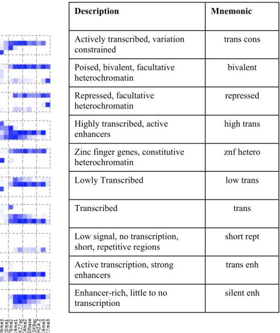 Figure 3.6.1 | Emission matrix for HMX annotations 