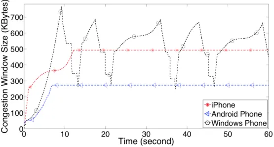 Figure 2.16: Abnormal TCP Behavior (Figure 7 in [JLW + 12])