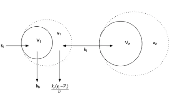 Fig. 1. Schematic diagram of the two-fluid space model.