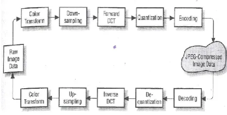 Figure 3: JPEG Compression and Decompression 