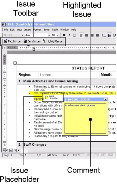 Figure 5: Raising issues in a report