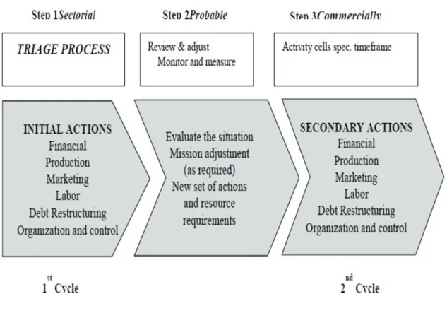 Fig. 3. Short-term action plan (STAP’s) Cycles 