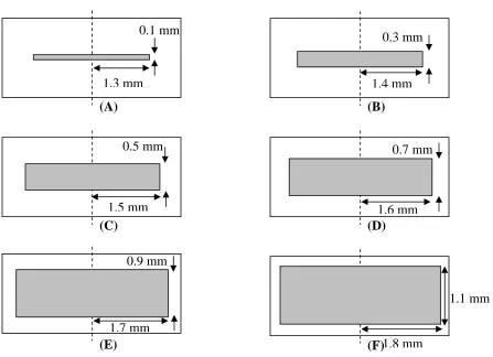 Fig. 2. Illustrations of the inhomogenous constructs showing the sizes of degraded  polymer in each