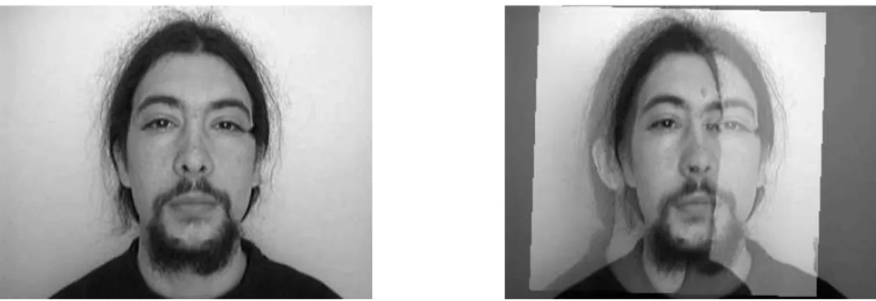 Figure 9 left displays the final panoramic face composition from 5 views. This composi- composi-tion preserves some of the face shape